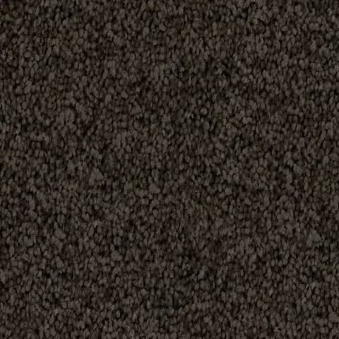 Dark Shadow carpet swatch
